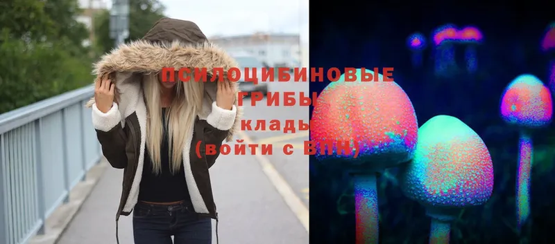 Псилоцибиновые грибы Magic Shrooms  MEGA вход  Адыгейск 